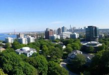 Greenwich, Connecticut skyline with modern buildings and greenery.