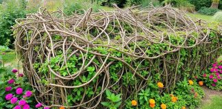 A lush garden with a constructed dead hedge.