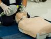 What Are the Global Standards for Getting Your BLS Certification?